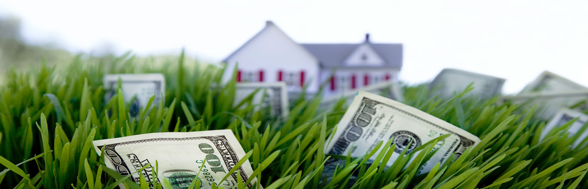 House with money growing on the front lawn